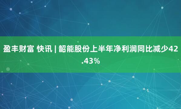 盈丰财富 快讯 | 韶能股份上半年净利润同比减少42.43%