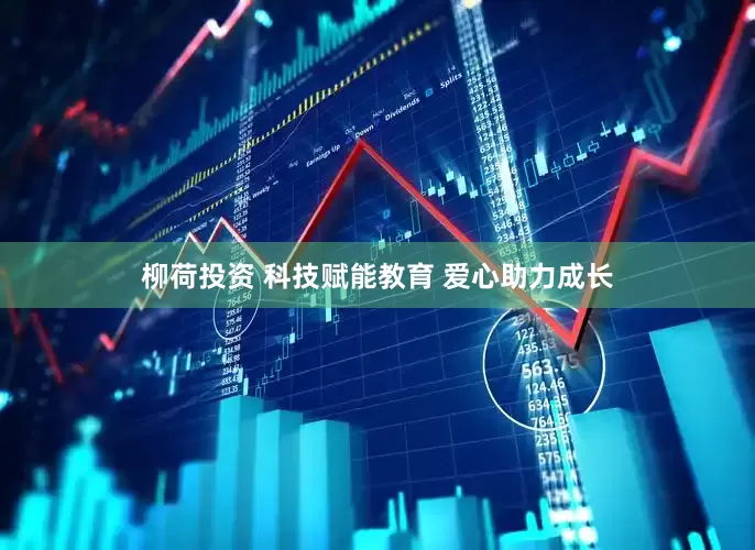 柳荷投资 科技赋能教育 爱心助力成长